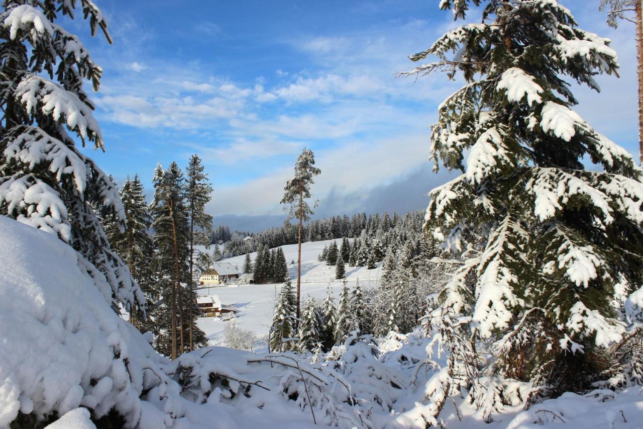 Monolith Black Forest Schonach im Schwarzwald
